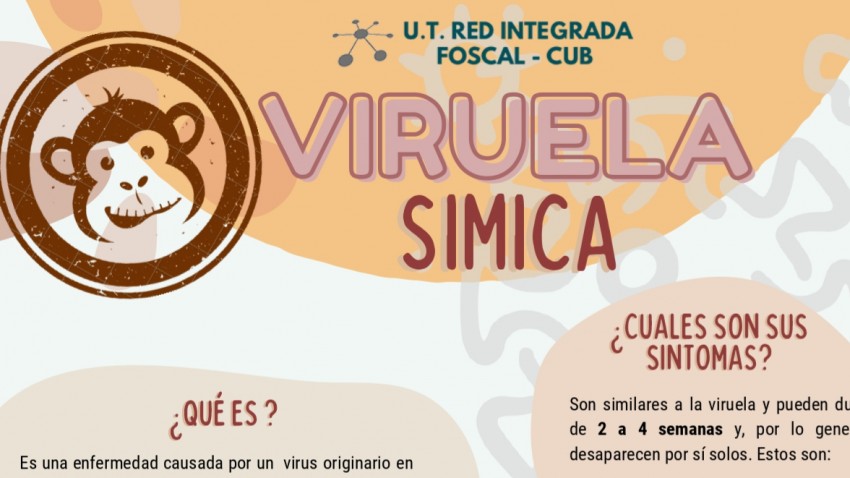 foto principal de ¿QUÉ ES IMPORTANTE SABER SOBRE LA VIRUELA SÍMICA?